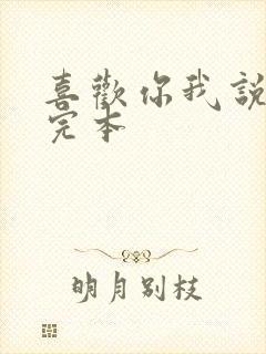 喜欢你我说了算完本