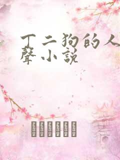 丁二狗的人生有声小说