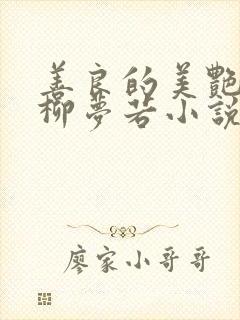 善良的美艳妈妈柳梦若小说