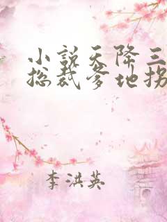 小说天降三宝,总裁爹地拐回家