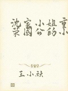 沈家小姐重生嫁荣国公的小说