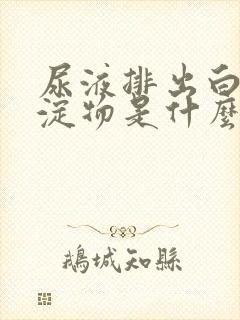 尿液排出白色沉淀物是什么原因