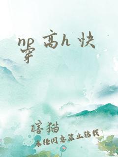 np 高h 快穿