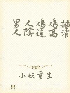 男人鸡鸡插进女人阴道高清