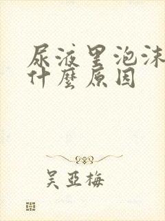 尿液里泡沫多是什么原因