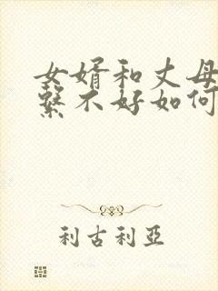 女婿和丈母娘关系不好如何处理