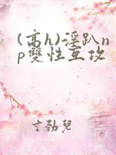 (高h)淫趴np双性互攻