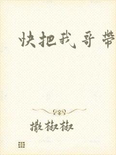 快把我哥带走2