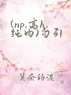 (np,高h,纯肉)勾引