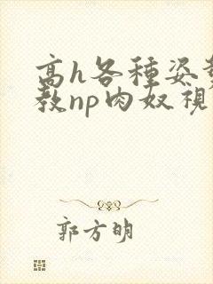 高h各种姿势调教np肉奴视频