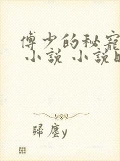 傅少的秘宠娇妻 小说 小说时暖,傅承彦