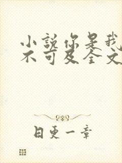 小说你是我的遥不可及全文免费阅读