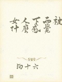 女人下面被舔是什么感觉