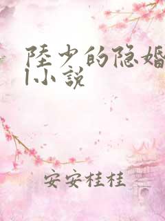 陆少的隐婚罪妻l小说