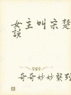 女主叫宋楚的小说