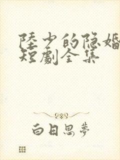 陆少的隐婚罪妻短剧全集