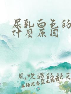 尿乳白色的尿是什么原因