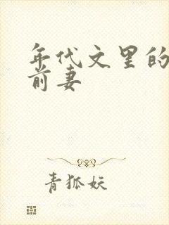 年代文里的炮灰前妻