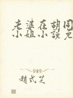 老婆在胡同里扮小姐小说免费阅读