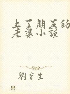 上了朋友的娇妻老婆小说