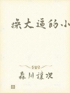 操大逼的小说