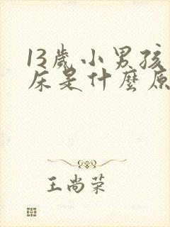 13岁小男孩尿床是什么原因引起的