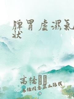 脾胃虚湿气重症状