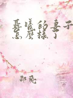 聂曦的妻子后来怎么样了