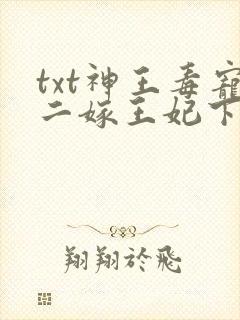 txt神王毒宠二嫁王妃下载