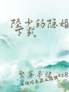 陆少的隐婚罪妻 下载