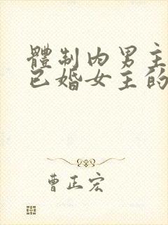 体制内男主看上已婚女主的小说