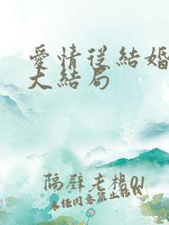 爱情从结婚开始大结局