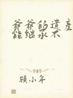 爷爷的遗产孙子能继承不