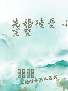 先婚后爱 小说完整