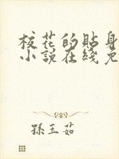 校花的贴身高手小说在线免费阅读