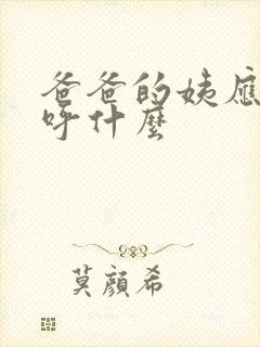 爸爸的姨应该称呼什么