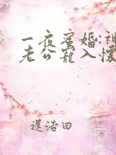 一夜蜜婚:神秘老公宠入怀