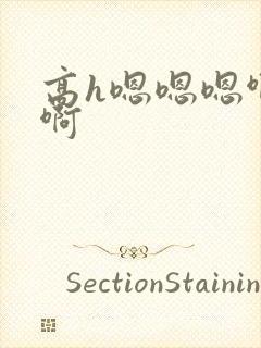 高h嗯嗯嗯啊啊啊