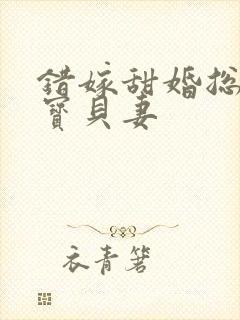 错嫁甜婚总裁的宝贝妻