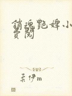 销魂艳婢小说免费阅