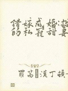 错嫁成婚:总裁的私宠甜妻小说