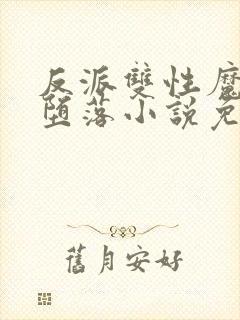 反派双性魔尊的堕落小说免费阅读