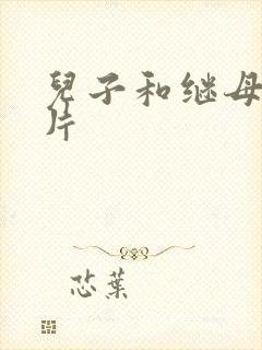 儿子和继母伦理片