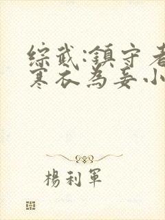 综武:镇守者李寒衣为妾小说