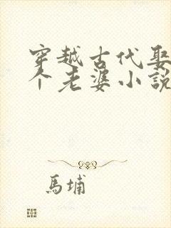 穿越古代娶了三个老婆小说