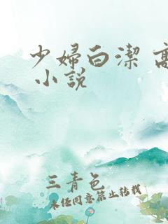 少妇白洁 高义 小说