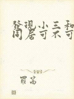 发现小三和老公同居可不可以报警