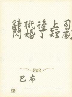 辞职后上司和我闪婚了短剧观看全