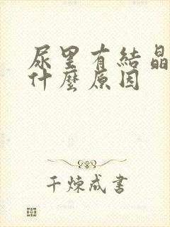 尿里有结晶高是什么原因