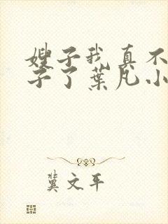 嫂子我真不是傻子了叶凡小说最新章节精校版